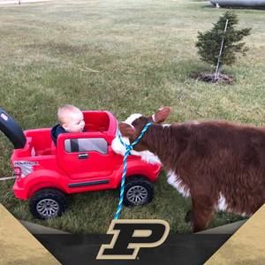 Meet your Posher, Mary